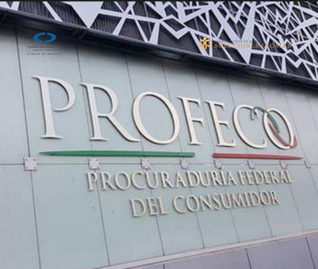 PROFECO 1